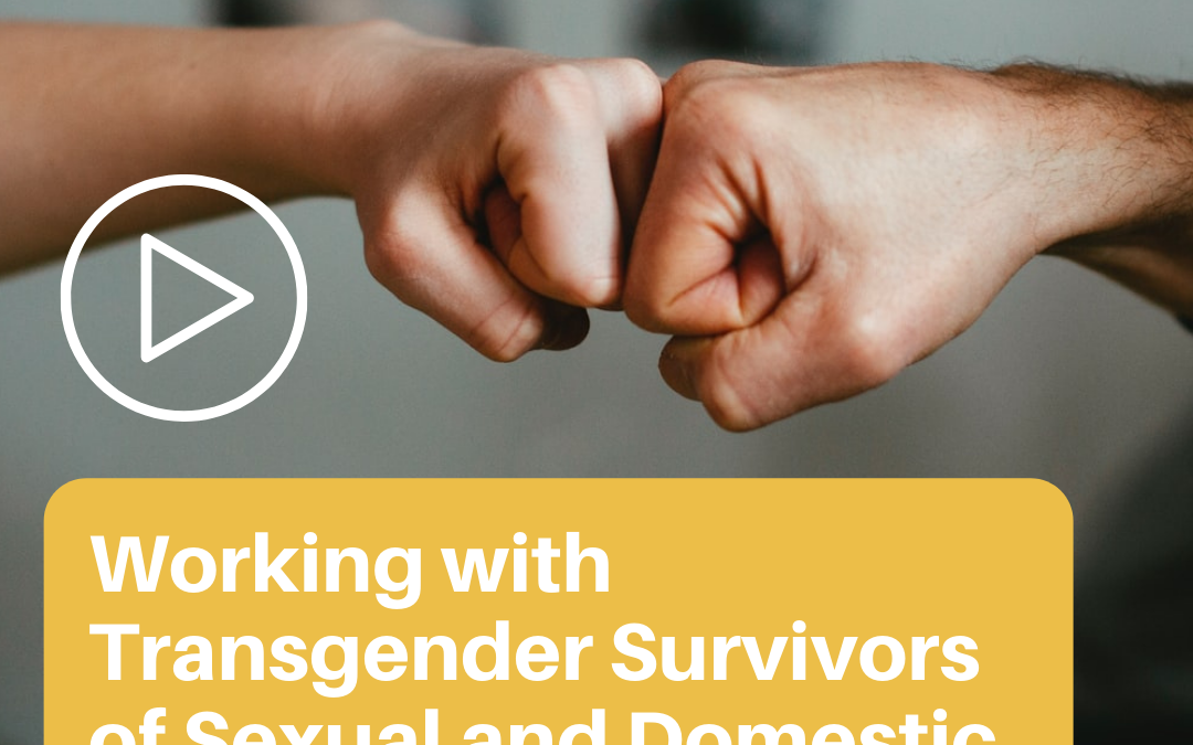 Working with Transgender Survivors of Sexual and Domestic Violence