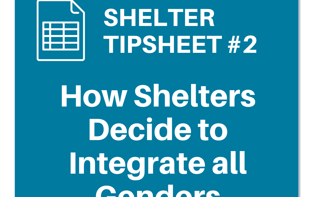 Shelter Tipsheet #2: How Shelters Decide to Integrate all Genders
