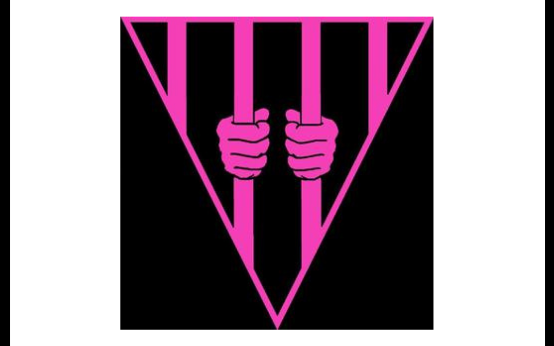 Make Life Better for Incarcerated Trans Folks  (Day 16)