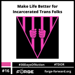 Make Life Better for Incarcerated Trans Folks  (Day 16)