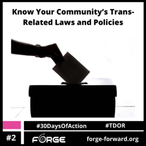 Know (local) trans rights (and VOTE!) (Day 2)