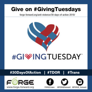 Day 27 – Giving Tuesday: Set up a recurring donation to a trans organization
