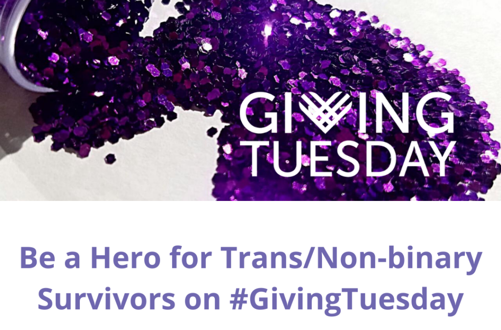 Be a Hero for Trans/Non-binary Survivors on #GivingTuesday