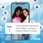 Trans/Gender-Expansive Tech Safety in the post-Dobbs Political Climate