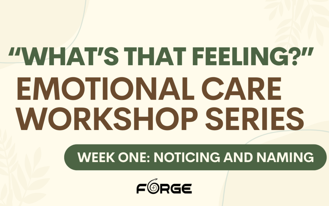 What’s that feeling? Emotional Care Workshop Series – Week one: Noticing and Naming