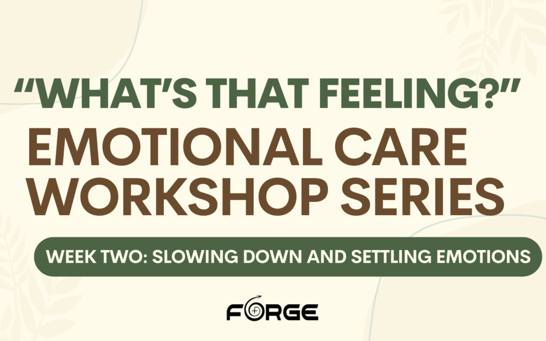 What’s that feeling? Emotional Care Workshop Series – Week two: Slowing Down and Settling Emotions