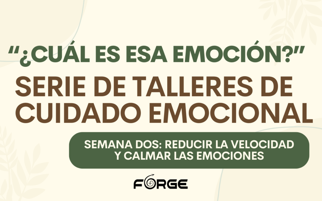 ¿Cuál es esa emoción? Serie de Talleres de Cuidado Emocional – Semana tres: Aumentar la energía y mover las emociones