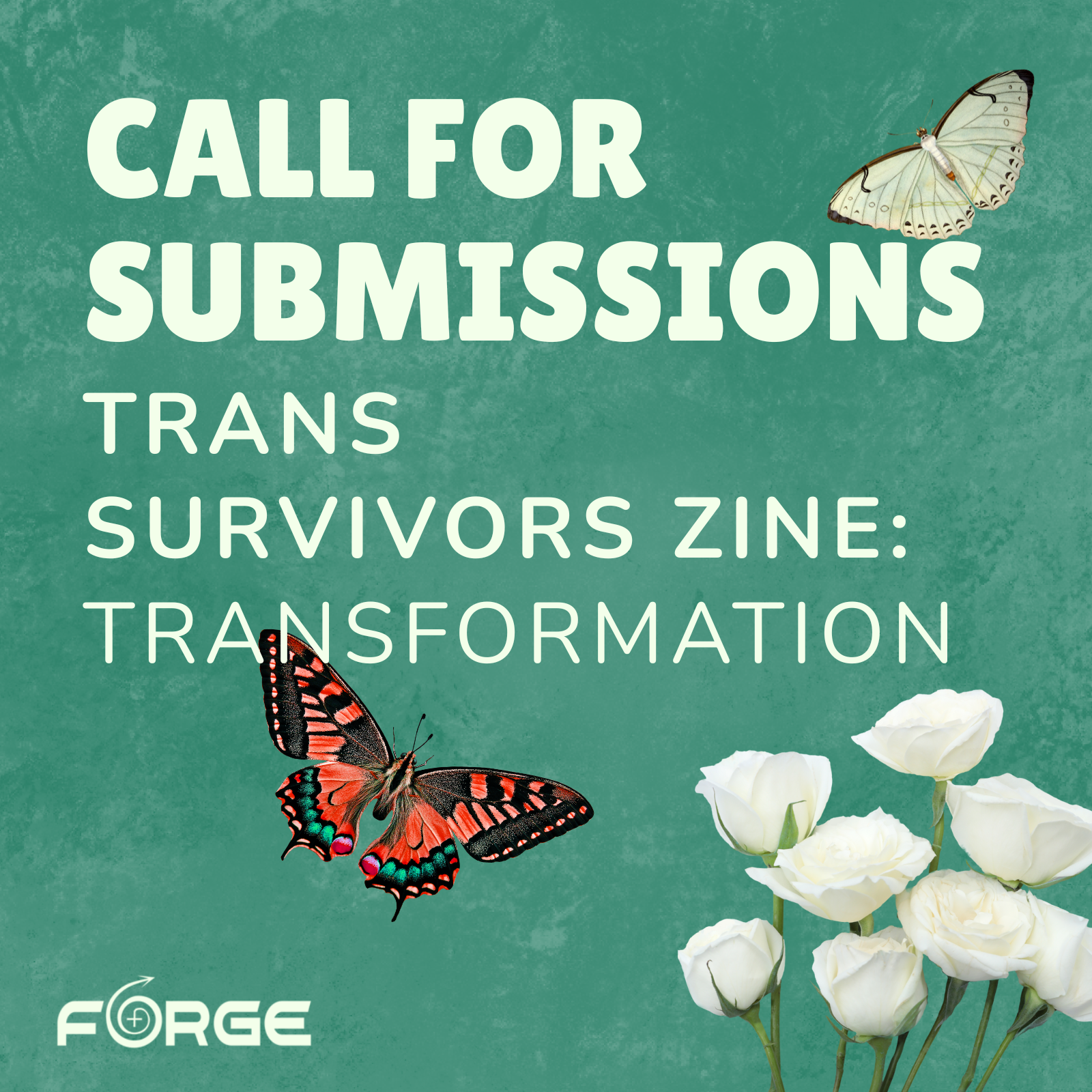 Call for Submissions! Trans Survivors Zine